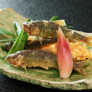 厚木産食材を厳選。朝採れ旬野菜や鮎、あつぎ豚の逸品料理を堪能