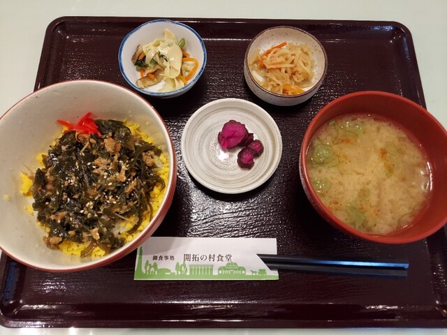 Kaitaku no Mura Shokudo photo 2