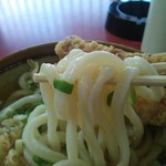 うどん　ぎんが - 麺アップ