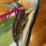 貝と魚と炉ばたのバンビ - 