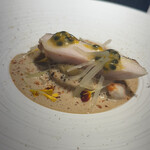 クラフタル - ③鹿児島 龍治農園シャポーンマレンゴ風
      