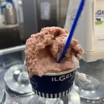 Mennella Il Gelato - 料理写真: