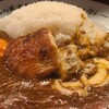 もうやんカレー しんばし