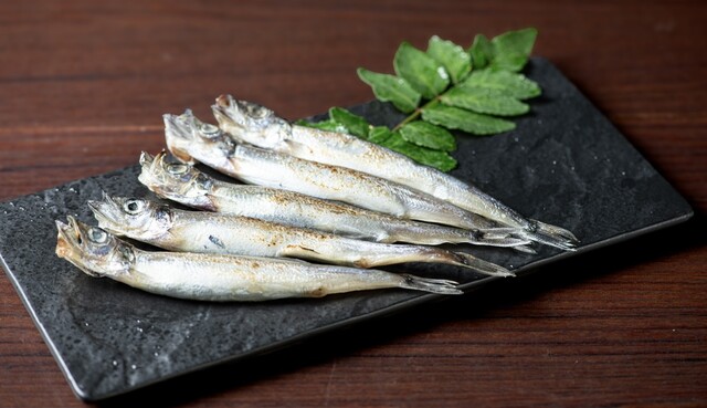 Private rooms × Izakaya × Enkai Gyokou Sanchoku Sengyo to Umai Sake Zetten Toyota Ten