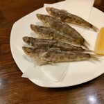 だるま - 