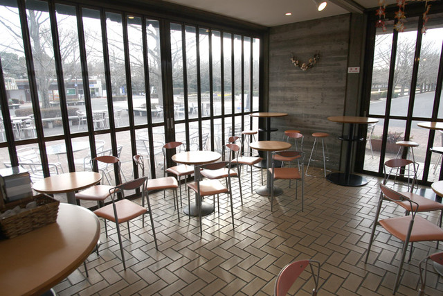 Ginnan Chaya photo 4