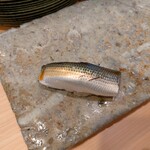 銀座 鮨 しょう介 - 小肌⋯心地よい酸味と小肌の旨みのコラボ