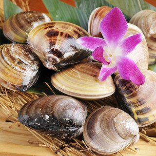 桑名名物！実が引き締まった天然はまぐりを大満喫！