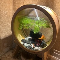 お料理 とみやま - 