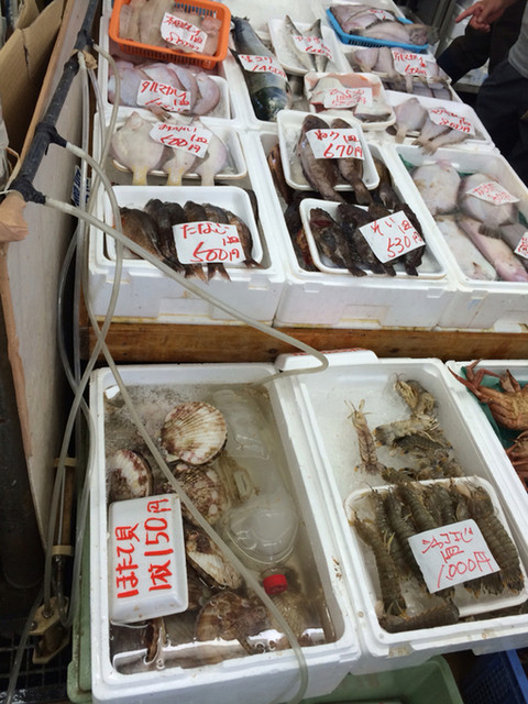 マリンパル女川　おさかな市場 - 浦宿（その他）の写真