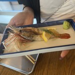 えびと馬肉と日本酒の居酒屋 - 