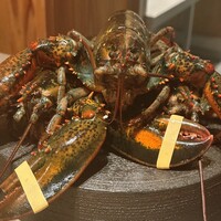 PLEIN 銀座本店 - 