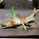 新ばし 星野 - 府屋大川の天然俎上の鮎塩焼き