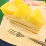 오카시노 미세 타마