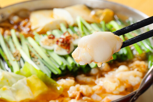 もつ煮と餃子居酒屋 イチロク - 郡山（居酒屋）の写真