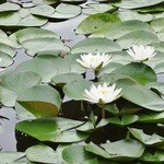 さとや - お店様の野外の景色②です(2014/9/24UP)