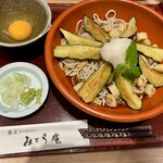 蕎匠 包丁切りそば みとう庵 - 料理写真:揚げ茄子と油揚げのおろし蕎麦