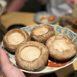 関本恭平 - 特大椎茸