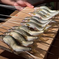 祇園 静水香 - 