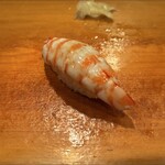 新橋鶴八 - しゃこ