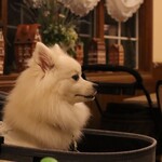 Restaurant Hamy's Karuizawa - 