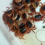 お食事 まるちゃん - 