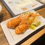 庵JUJU - 