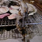 Hibiki Mai - 虹鱒塩焼き