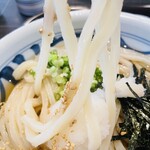 手打うどん すみた - うどんのこの美しさ…