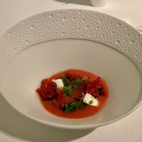 SCALAE - 