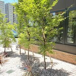 黒毛和牛焼肉 凱旋門 - 