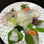 魚将　さかなちゃん - 