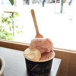 ジェラテリア アクオリーナ - 