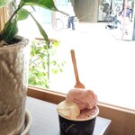 ジェラテリア アクオリーナ - 