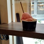 ジェラテリア アクオリーナ - 