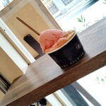 ジェラテリア アクオリーナ - 