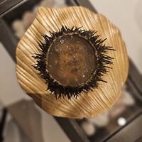 六花 - 