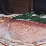 KOBAYASHI - でっかい赤甘鯛