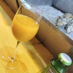 四ツ橋・新町 牡蠣と肉たらしビストロAKIRA - 