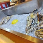 四ツ橋・新町 牡蠣と肉たらしビストロAKIRA - 