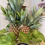 HELLO NEW DAY COFFEE - 