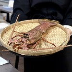 鍋・海鮮居酒屋 伊勢海老 たくと 大阪本町店 - 