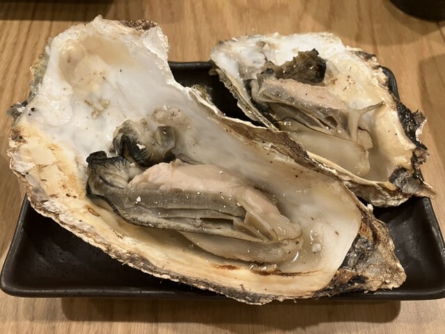 kitchen酒場 オーシャン（キッチンサカバ オーシャン） - 青葉通一番町（居酒屋）の写真