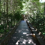 時香忘 - 駐車場から店までのアプローチ