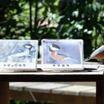 時香忘 - テーブル席の直ぐ目の前の窓の外にやってきたヤマガラ