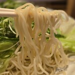広島風冷しつけ麺・楽 - 中細ストレート中華麺