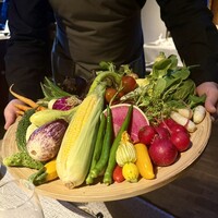 ヒカリヤ ニシ - 