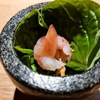 KHAO - 