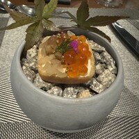 イリエスケープ - 