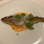 カンティーナ・アルバロンガ - 